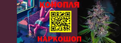 сатива Ярославль