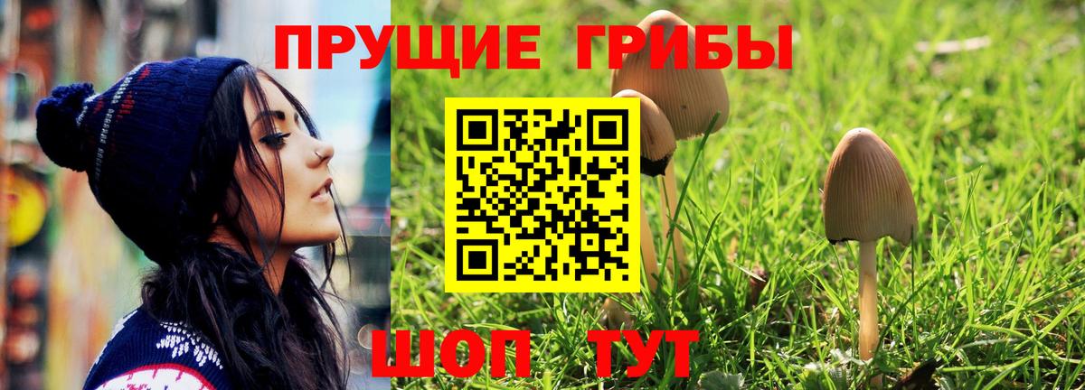 Кубинка  Галлюциногенные грибы Psilocybe  Вход с VPN  Псилоцибиновые грибы ЛСД 
