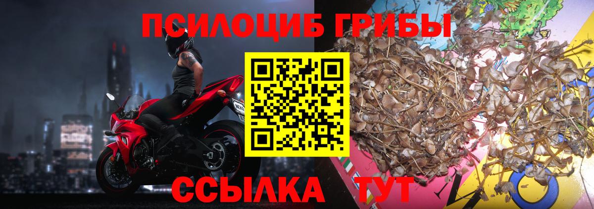 Псилоцибиновые грибы MAGIC MUSHROOMS Кубинка